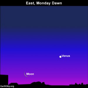 …and don’t forget the morning sky, which features the dazzling planet Venus and a thin waning crescent moon on Monday, May 26.