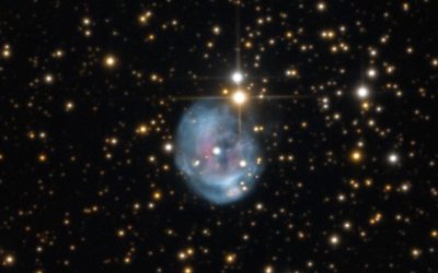 NGC7008_LRGB_web_600