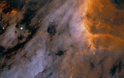 IC5067 Pelican Nebula
