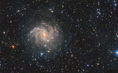 NGC 6946 Fireworks cropped